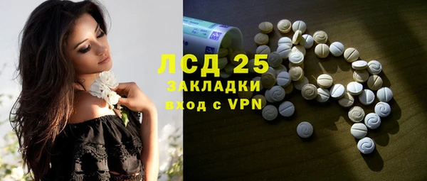 твердый Дмитровск
