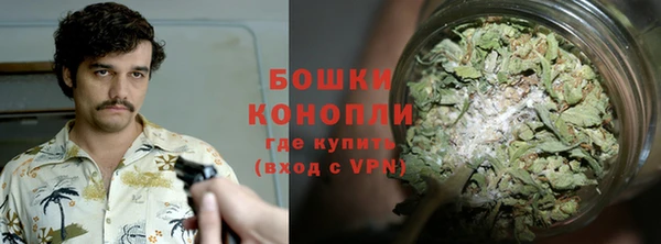 твердый Дмитровск