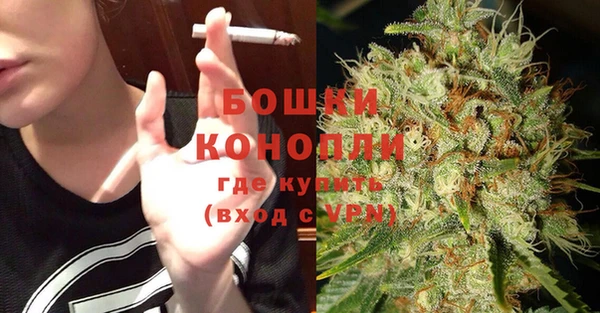 ГАЛЛЮЦИНОГЕННЫЕ ГРИБЫ Гусь-Хрустальный