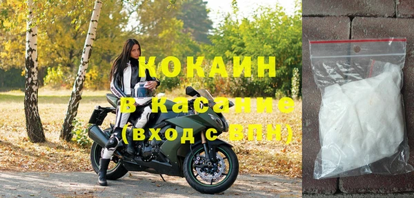 винт Дмитриев