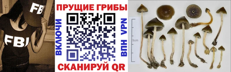 Галлюциногенные грибы мицелий  Купить закладки  Нязепетровск 